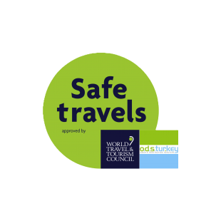 Safe Travels Logo