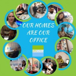 ourhomes 9905140514028a3c ourhomes 9905140514028a3c
